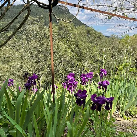 Nyaraló Mas Suejol *